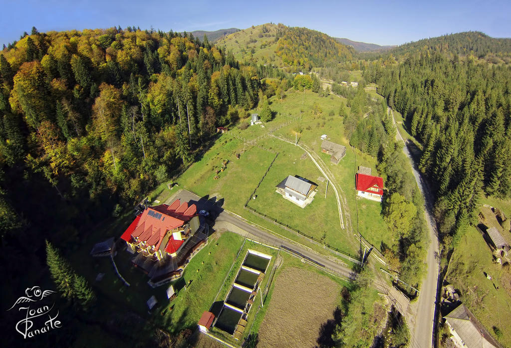 Pensiunea Geona Poiana Teiului Buitenkant foto