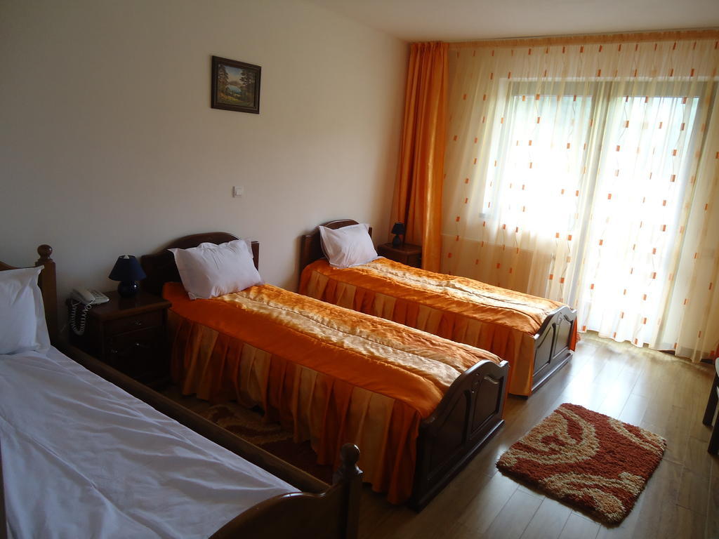 Pensiunea Geona Poiana Teiului Kamer foto