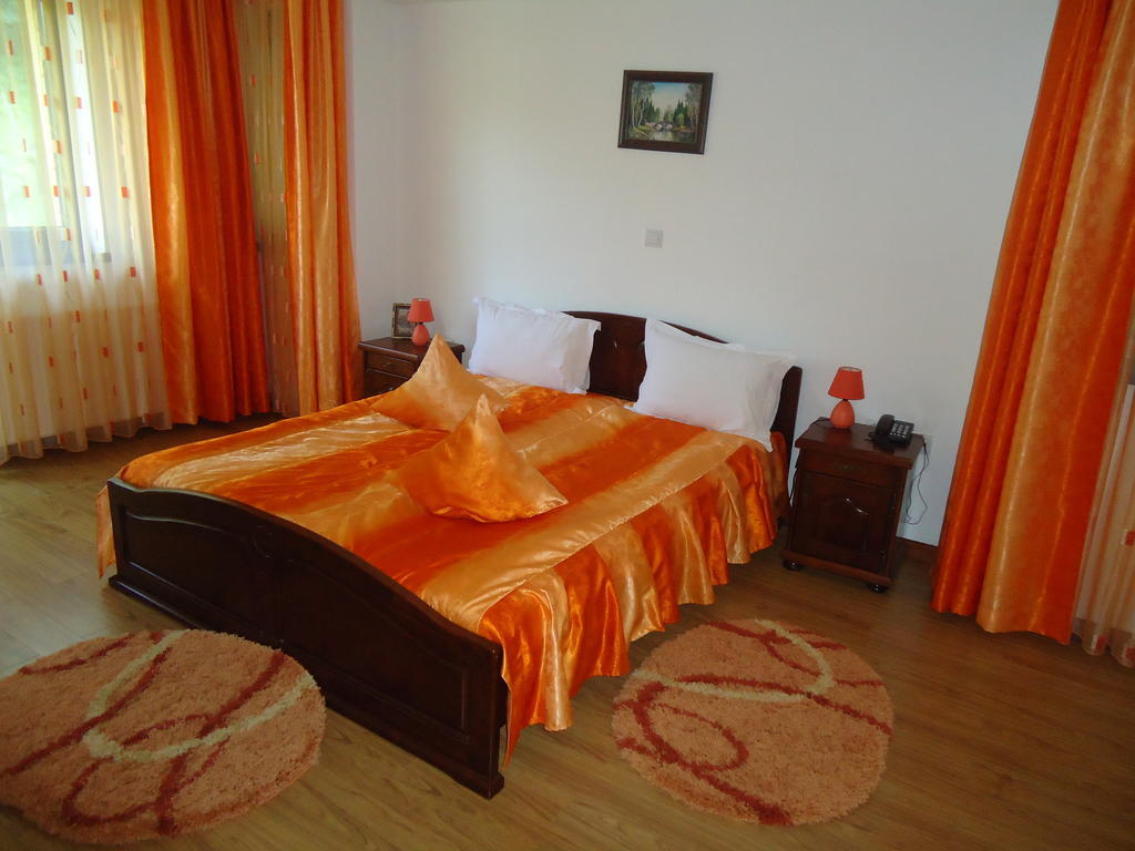 Pensiunea Geona Poiana Teiului Kamer foto