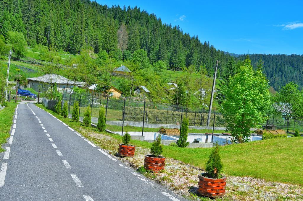 Pensiunea Geona Poiana Teiului Buitenkant foto